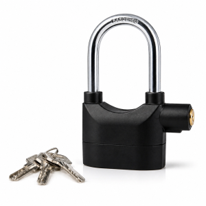 Alarm Lock